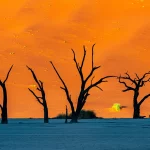 Una rompedora teoría física propone que la muerte no sería el final